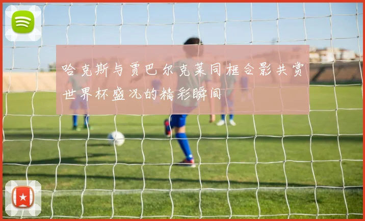 哈克斯与贾巴尔克莱同框合影共赏世界杯盛况的精彩瞬间