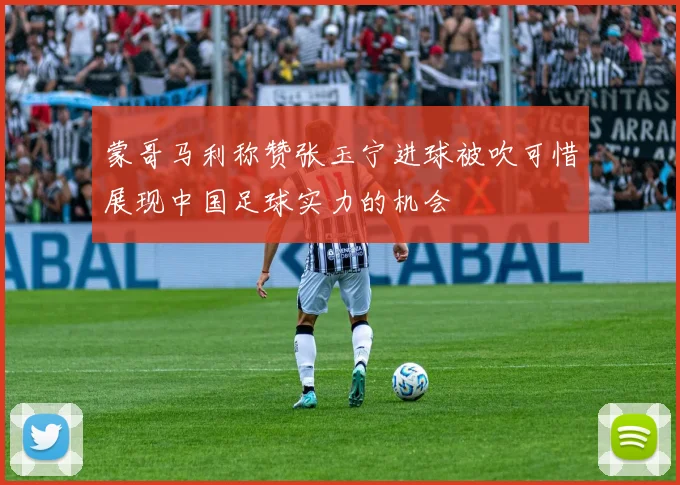 蒙哥马利称赞张玉宁进球被吹可惜展现中国足球实力的机会