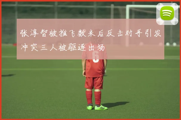 张淳智被推飞数米后反击对手引发冲突三人被驱逐出场