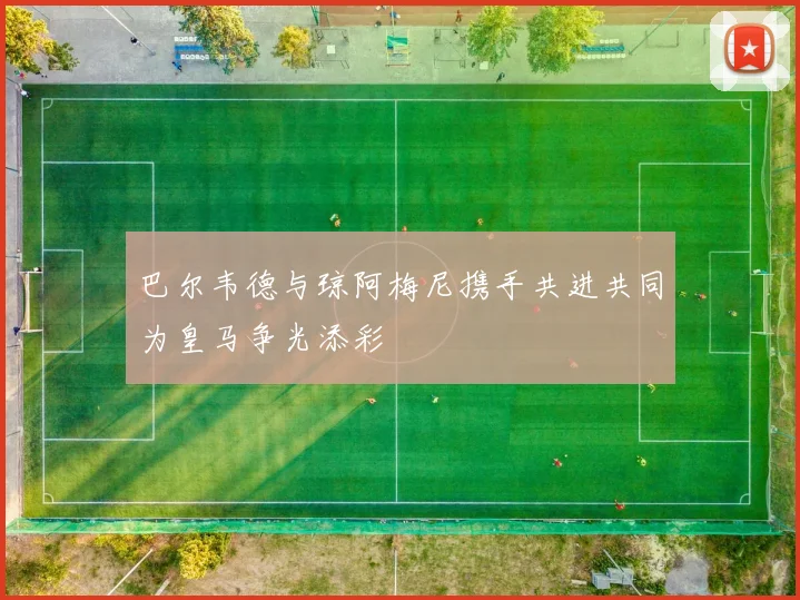 巴尔韦德与琼阿梅尼携手共进共同为皇马争光添彩